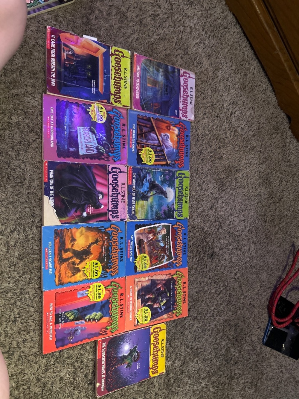 Goosebumps books collection